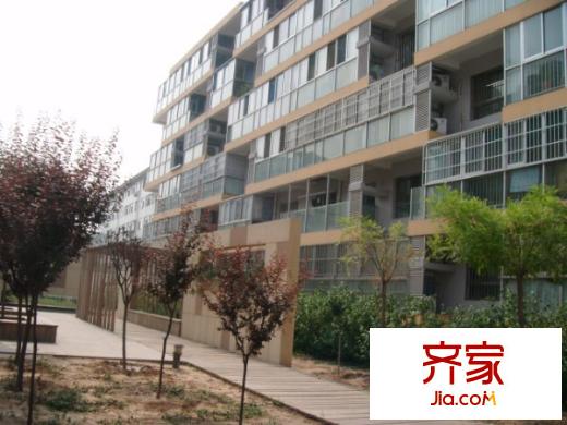 新龍橙堡外景圖小區(qū)內(nèi)景