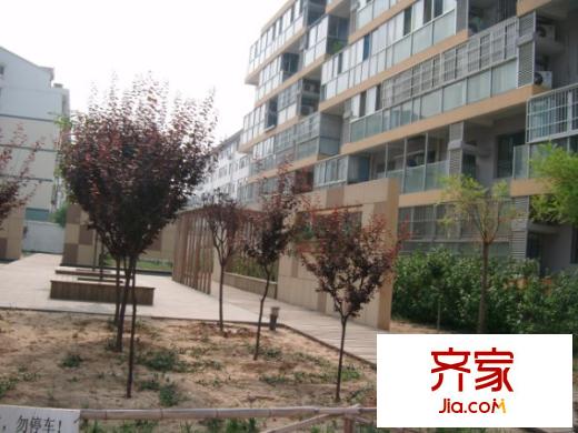 新龍橙堡外景圖小區(qū)內(nèi)景
