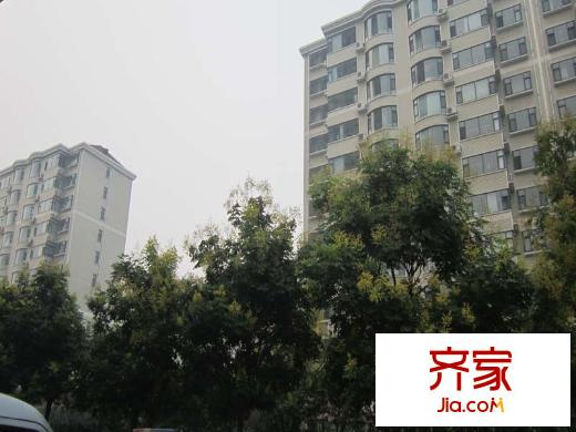 市交警支隊宿舍(勝利街)外景圖(2015-9-21)