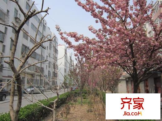 建委宿舍(早春園)外景圖早春園建委宿舍