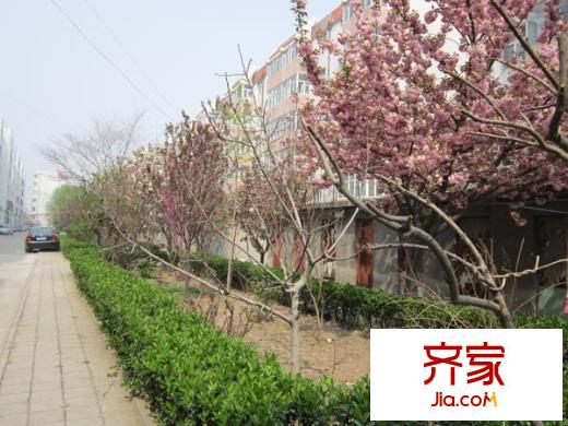 建委宿舍(早春園)外景圖早春園建委宿舍