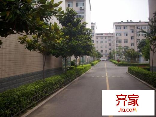 桐蔭小區(qū)外景圖 