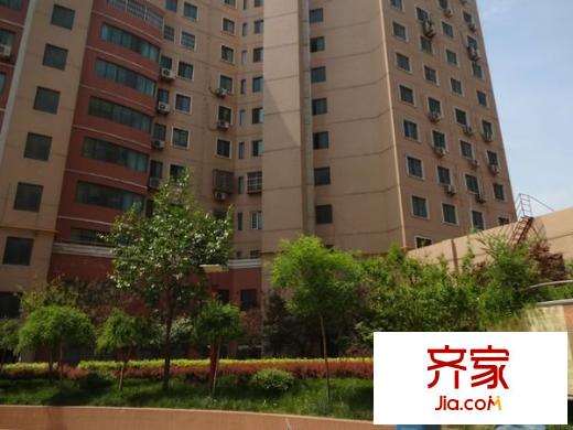 陽光外灘外景圖 