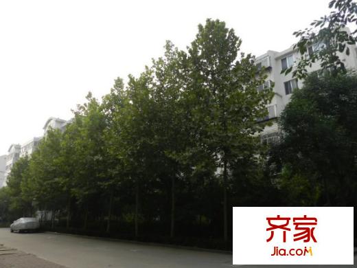 文萃苑小區(qū)外景圖 （20120806）