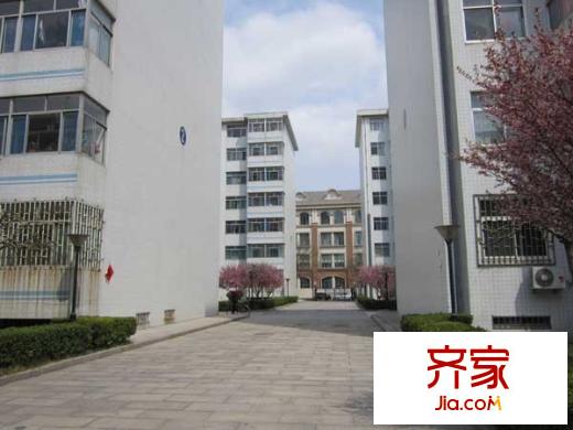 公路局宿舍(高新)外景圖高新公路局宿舍