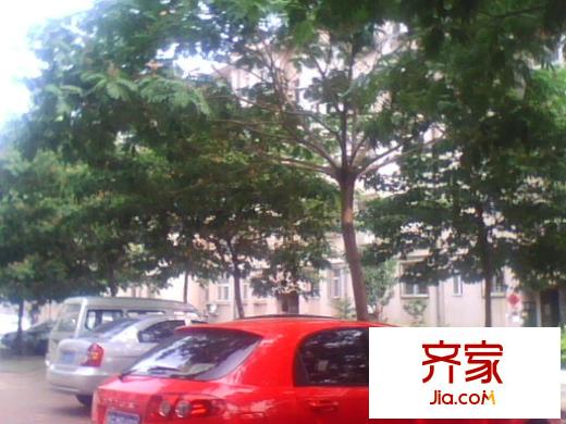 ?；^(qū)外景圖 