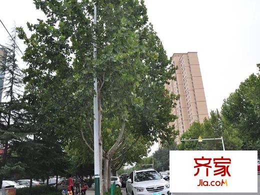 新華怡景苑外景圖-（2015/9/15）