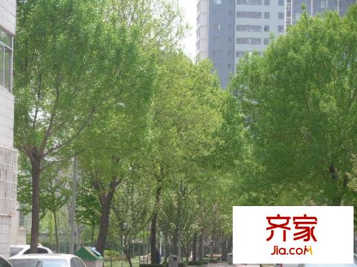 電業(yè)局宿舍(上虞河)外景圖上虞河電業(yè)局宿舍 