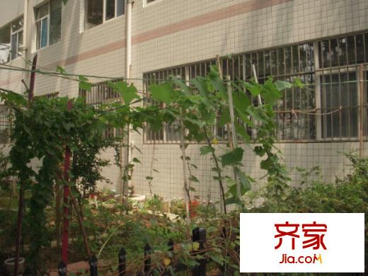 日?qǐng)?bào)社宿舍外景圖 
