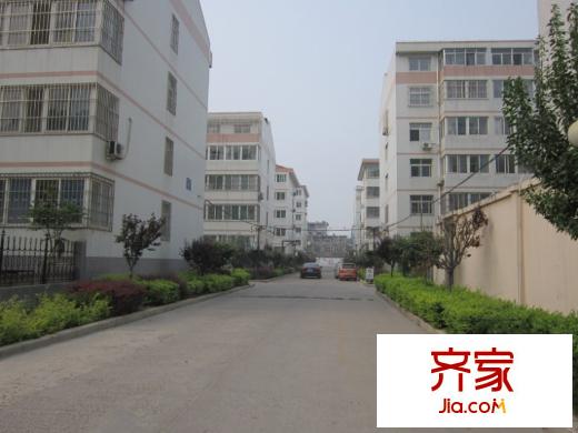 錦泰小區(qū)外景圖小區(qū)內(nèi)景