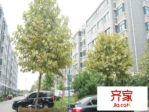 江南印象濰州外景圖（2015-9-11）