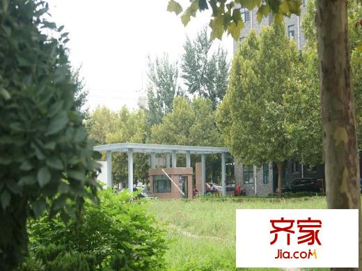 江南印象濰州外景圖（2015-9-11）
