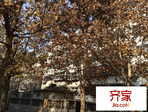 福壽園小區(qū)外景圖（20141121）