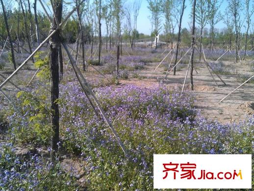 恒信南郡配套圖東300米虞河景觀帶