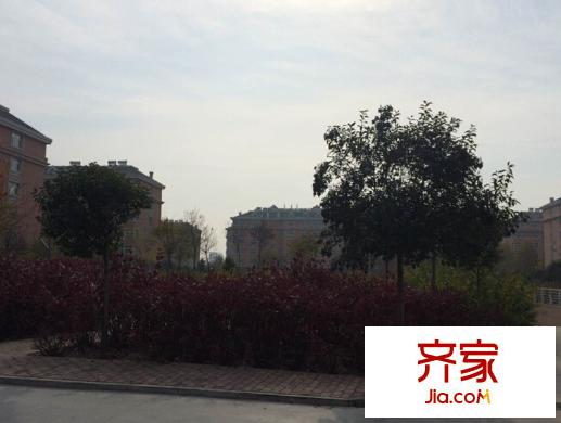 新城花園外景圖 （20141121）