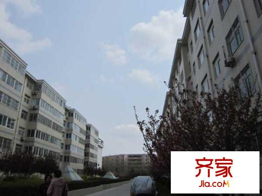 華都金馬小區(qū)外景圖