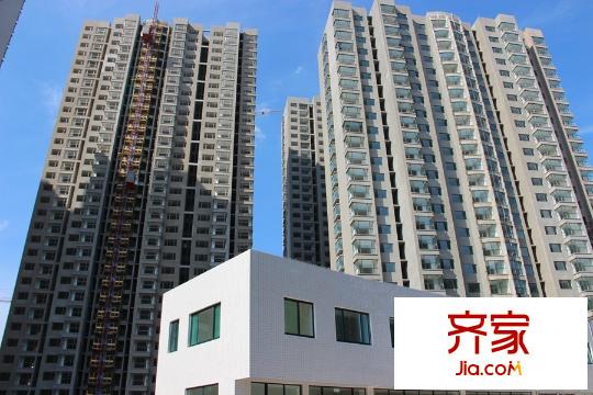 新富專家公寓三期高層1/3#樓施工（2015-9-8）