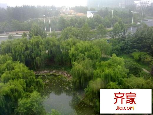 金葉櫻海園外景圖 （20121204）