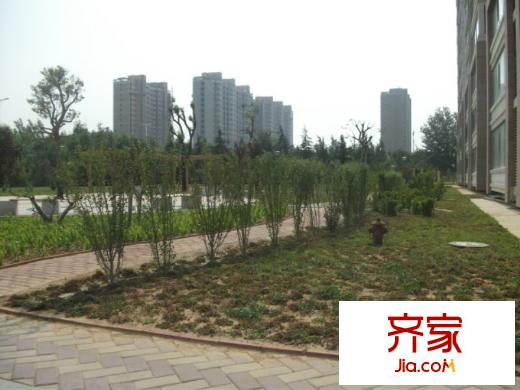 金葉櫻海園外景圖