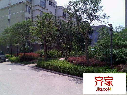 金城花園外景圖 