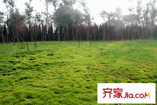 香榭麗舍配套圖鳶都湖