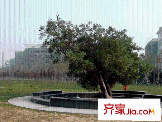 香榭麗舍配套圖鳶都湖