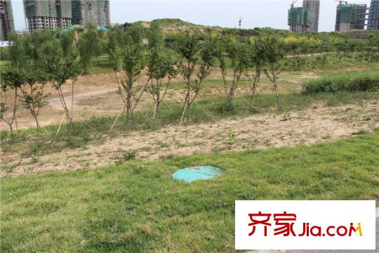 水岸華府北側(cè)50米張面河景觀公園