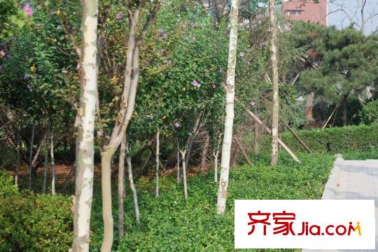 壹里香溪配套圖周邊環(huán)境
