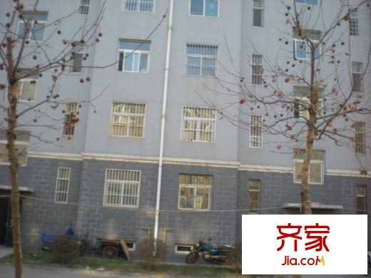 同樂園外景圖 