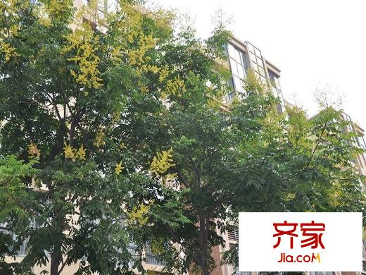 緹香美地外景圖-（2015/9/14）
