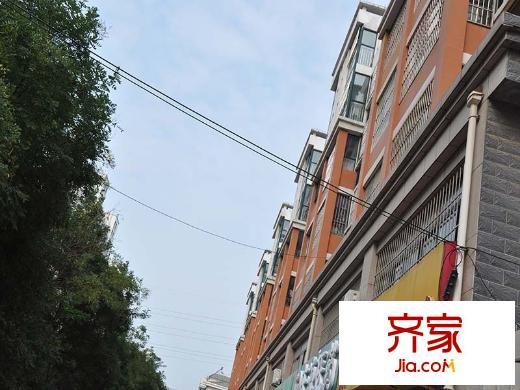 緹香美地外景圖-（2015/9/14）