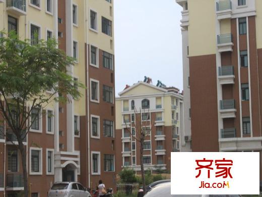 玫瑰國(guó)際外景圖高層樓體施工實(shí)景（20120613）