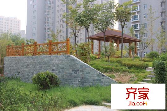 高速仁和盛庭小區(qū)內(nèi)部綠化（2015-10-23）