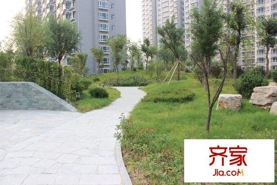 高速仁和盛庭小區(qū)內(nèi)部綠化（2015-10-23）