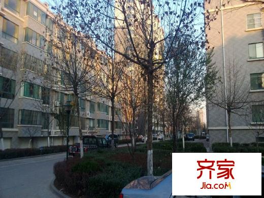 十甲花園外景圖 