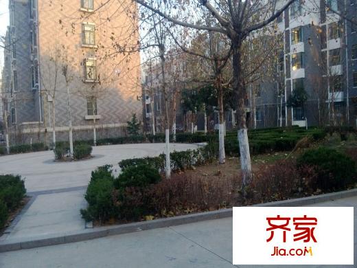 十甲花園外景圖 