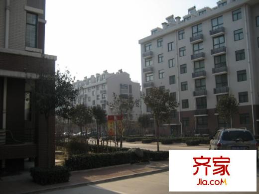 金都南苑外景圖小區(qū)內(nèi)景