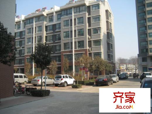 金都南苑外景圖小區(qū)內(nèi)景