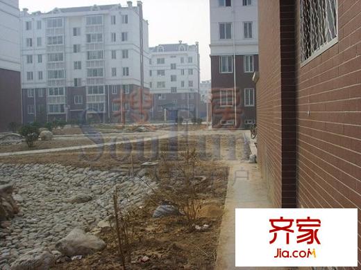金都家園外景圖實景圖