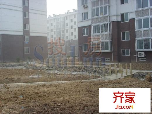 金都家園外景圖實景圖