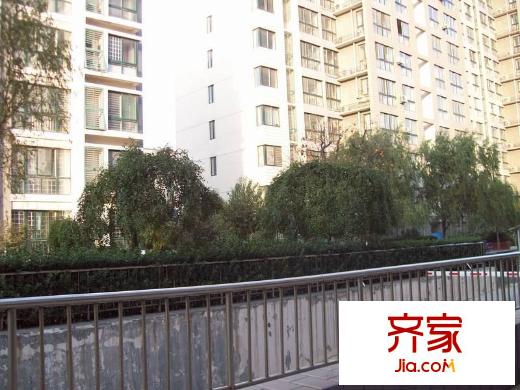 北國(guó)之春外景圖 