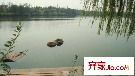 天潤淺水灣項目西側(cè)鳶都湖（20101227）