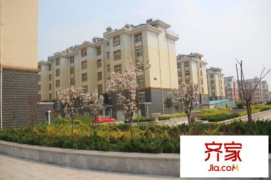 青云紫府一期多層洋房實景圖（2015-04-10）
