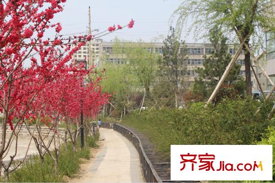 天下客新貴名苑環(huán)城河綠化帶