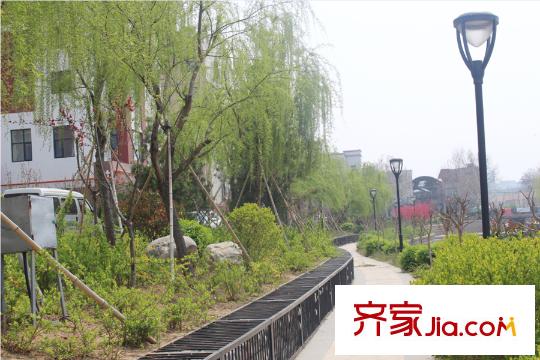 天下客新貴名苑環(huán)城河綠化帶