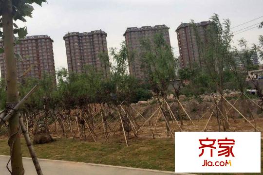 辰隆星河城園林綠化（20150527）