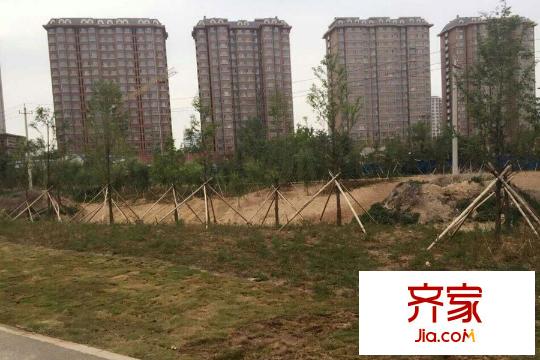 辰隆星河城園林綠化（20150527）
