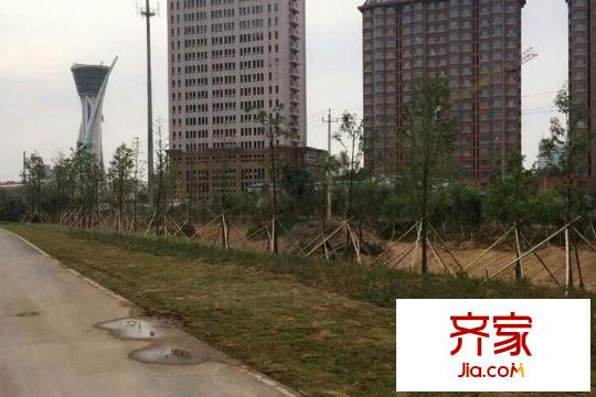 辰隆星河城園林綠化（20150527）