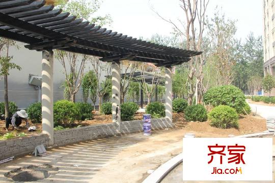 德潤左岸綠洲小區(qū)綠化施工（2015-06-26）