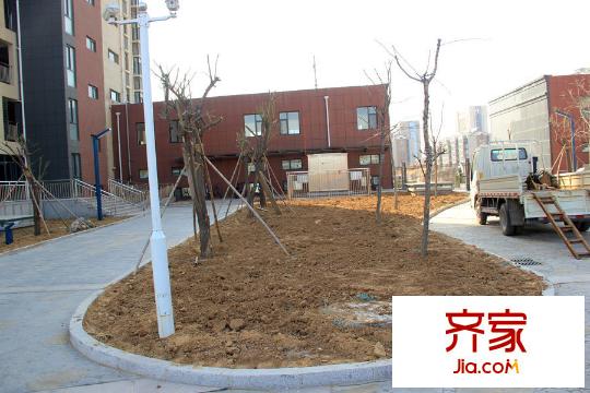 東金1號小區(qū)內(nèi)部（2015-03-23）
